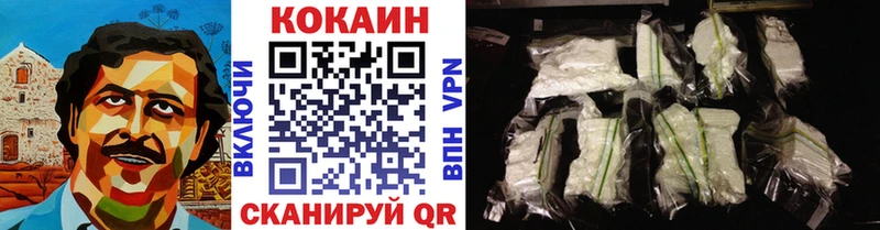 Cocaine FishScale  где купить наркоту  mega ссылки  Светогорск 