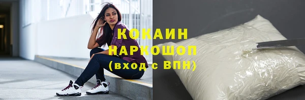 дживик Богородск