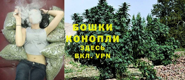 дживик Богородск