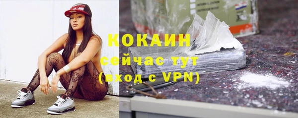 эйфоретик Богданович