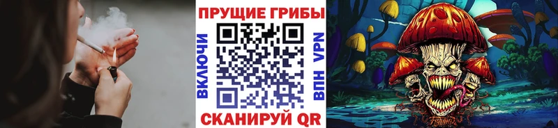 блэк спрут рабочий сайт Светогорск нарко площадка официальный сайт Псилоцибиновые грибы Psilocybine cubensis