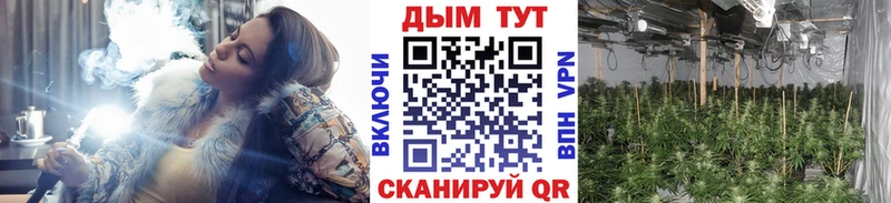 Бошки Шишки тримм  Светогорск 